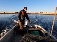 Matt Loo heads out to his 1acre oyster farm at Jack's Cove off of West Island in Fairhaven, MA for an early morning collection.  PETER PEREIRA/THE STANDARD-TIMES/SCMG