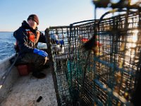 Matt Loo heads out to his 1acre oyster farm at Jack's Cove off of West Island in Fairhaven, MA for an early morning collection.  PETER PEREIRA/THE STANDARD-TIMES/SCMG