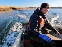 Matt Loo heads out to his 1acre oyster farm at Jack's Cove off of West Island in Fairhaven, MA for an early morning collection.