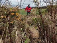 Mark Perry uses and industrial hedge trimmer to cut through the overgrowth on a stone wall during the first 'Work Party' since the onset of COVID-19 in March held at the DNRT Ocean View Farm property.   PHOTO PETER PEREIRA