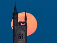 The Supermoon rises behind the iconic steeple of the Unitarian Church in Fairhaven. PHOTO PETER PEREIRA