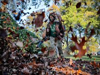 Landscapers send leaves into the air as they use leaf blowers to round up the fallen leaves in front of Tabor Academy in Marion.  PHOTO PETER PEREIRA
