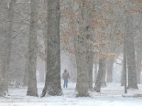 A man emerges from the woody area, as he makes his way around Buttonwood Park in New Bedford on a snowy day.