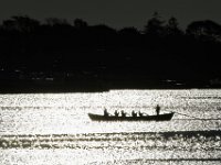 Members of the Buzzards Bay rowing club make their way across New Bedford harbor, as the rising sun glistens on the water.
