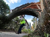Steven Lopez and fellow members of New Bedford DPI cut down a toppled tree on Hawthorn Street in New Bedford which as knocked over due to the high winds of the nor'easter which swept across the region last week.