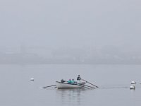 Members of the Buzzards Bay Rowing Club row across New Bedford harbor on a foggy morning.