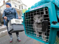 Residents take their cats out of their home on Puchase Street after New Bedford firefighters put out a small electrical fire.  No major damage was done. PETER PEREIRA/The Standard-Times