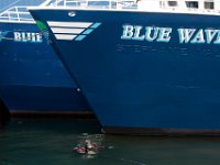 A diver is seen at a dock in Fairhaven searching for Kenneth Parks who was reported missing Wednesday afternoon. Mr. Parks was found by a homeowner sitting in her car parked in her driveway on Chestnut Street.