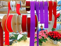 Rhonda Leblanc prepares poinsettiea holiday arrangements for customers at Nessralla Farm in Wareham, MA.   PETER PEREIRA/THE STANDARD-TIMES/SCMG