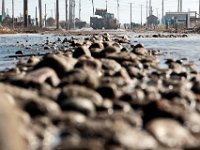 Andrew Sousa of the Westport Highway Department, clears off the rocks, sand and mud that washed up onto East Beach Road because of the high wind and surf that swept across the region.   PETER PEREIRA/THE STANDARD-TIMES/SCMG