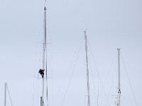 A rigger finds himself high up rigging a sailboat at Fairhaven Shipyard in Fairhaven. PETER PEREIRA/THE STANDARD-TIMES/SCMG