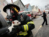 A New Bedford firefighter rescues a dog from a fire at 13 Abbott Street in the south end of New Bedford.   PETER PEREIRA/THE STANDARD-TIMES/SCMG