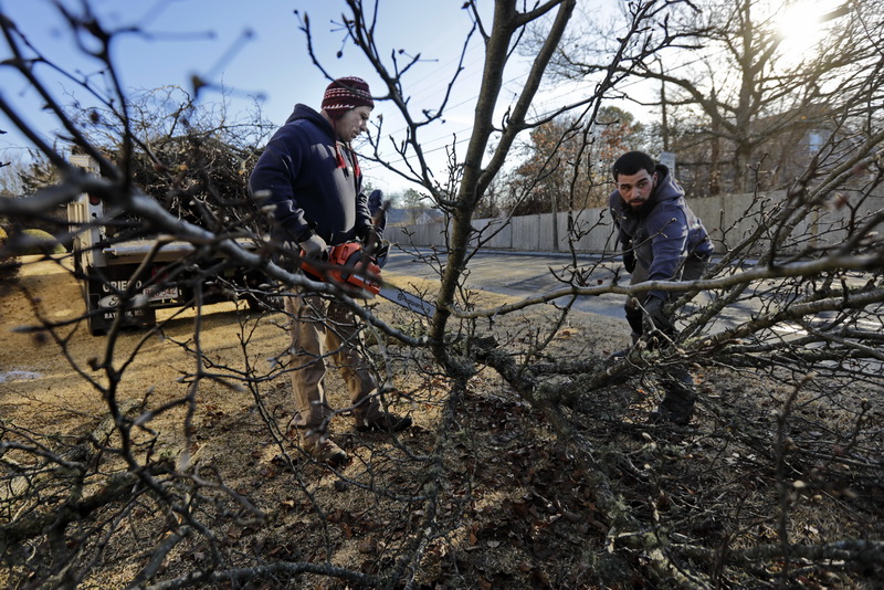 Matt Silva, owner, and Brad Zine of Silva's Lanscape Service trim a tree in the back of a home in Marion, MA. PHOTO PETER PEREIRA