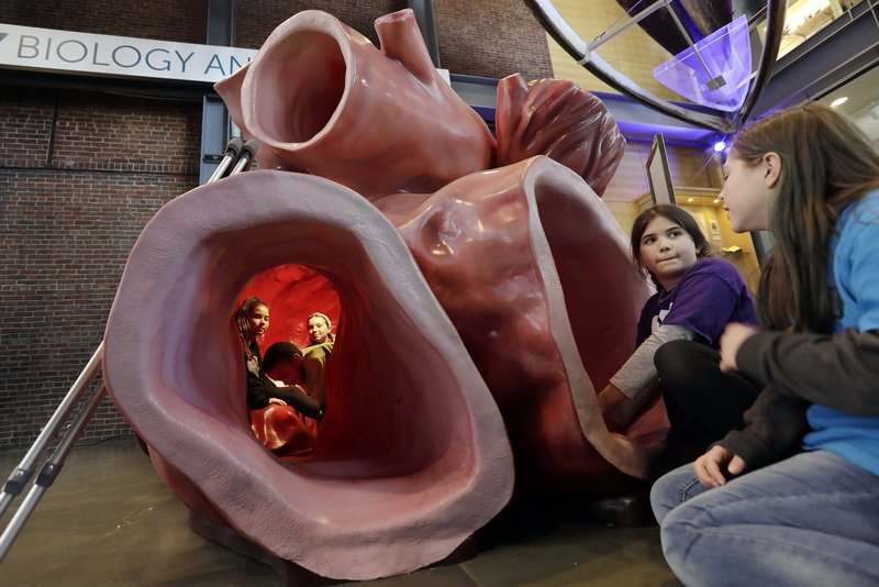 YMCA children are both inside and outside of the lifesize replica of a Blue Whale heart during the Whaling Museum's February Vacation Week activities in New Bedford, MA. PHOTO PETER PEREIRA