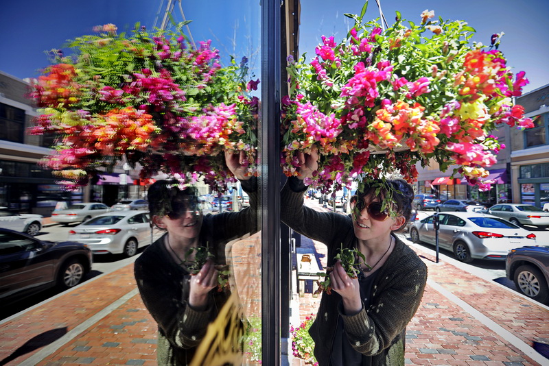 Rhuarb Davis is reflected on the windows of Sanctum Folklorica on Purchase Street in New Bedford, MA, as she hangs some colorful flower pots in front of the downtown store.     PHOTO PETER PEREIRA