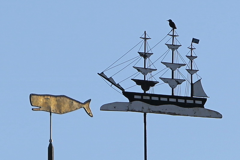 A small bird is on the lookout for the whale atop the whaling ship weathervane of the Seamen's Bethel in downtown New Bedford, MA.  The whale is the weathervane of the Whaling Museum in the distance. PHOTO PETER PEREIRA