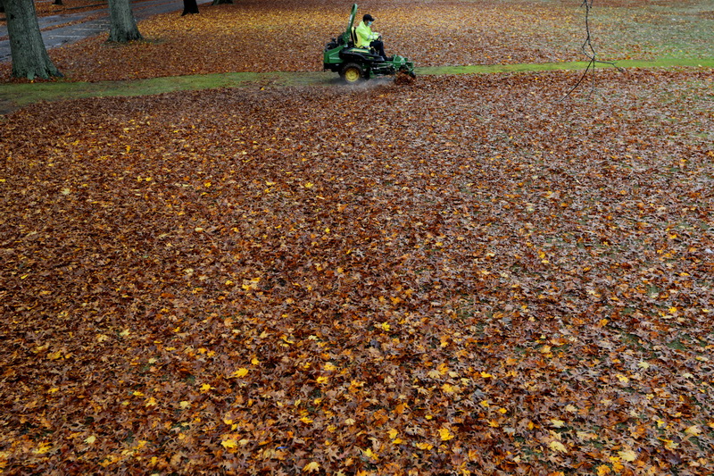 Ricardo Costa of New Bedord DPI, uses a riding lawnmower to 'chew-up' the colorful leaves which have fallen across Buttonwood Park in New Bedford, MA.   PHOTO PETER PEREIRA