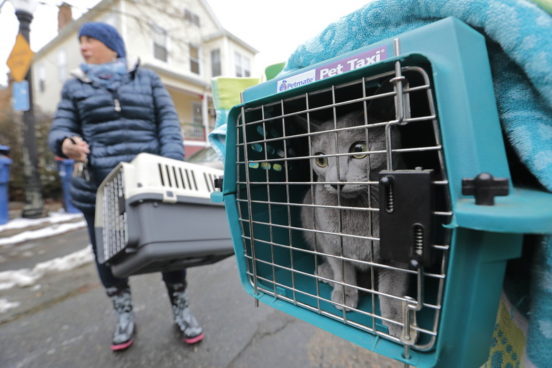 Residents take their cats out of their home on Puchase Street after New Bedford firefighters put out a small electrical fire.  No major damage was done. PHOTO PETER PEREIRA