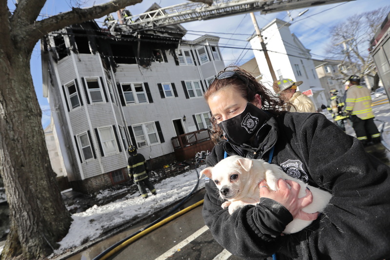 Shelley Avila-Martins of the New Bedford Police Animal Control Department, carries a dog she rescued from the fire at a multi-residence on Ashley Boulevard in New Bedford, MA. This is the fifth fire in New Bedford in the last eight days. PHOTO PETER PEREIRA