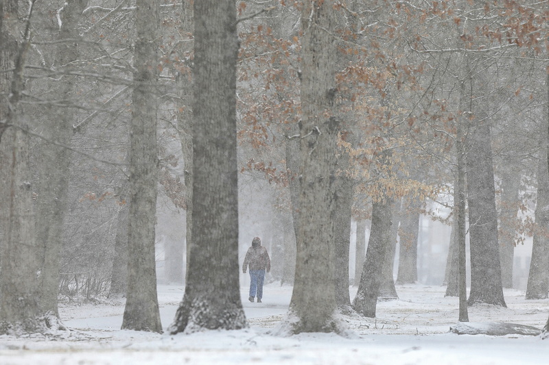 A man emerges from the woody area, as he makes his way around Buttonwood Park in New Bedford, MA on a snowy day. PHOTO PETER PEREIRA