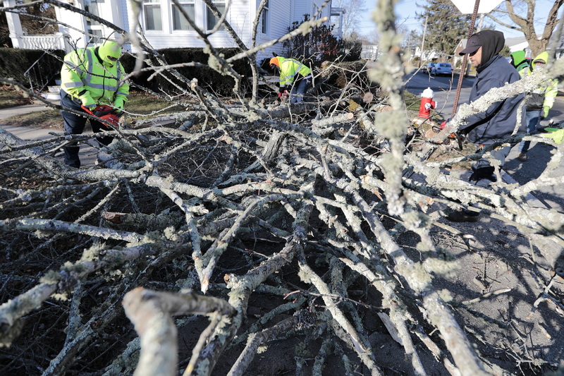 New Bedford DPI crew remove a fallen tree at the intersection of Rockdale Avenue and Bedford Street.  Many trees fell overnight across the city due to the high winds sweeping across the region.  PHOTO PETER PEREIRA