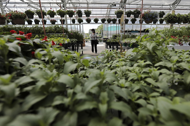 A woman walks into the new Lawrence Family Greenhouses greenhouse, on Hathaway Road in New Bedford, MA.  PHOTO PETER PEREIRA