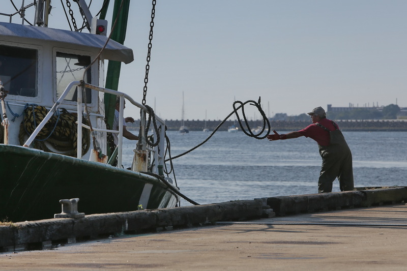 A fisherman catches the line being thrown from the fishing boat Sao Paolo, docking at State Pier in New Bedford, MA.  PHOTO PETER PEREIRA