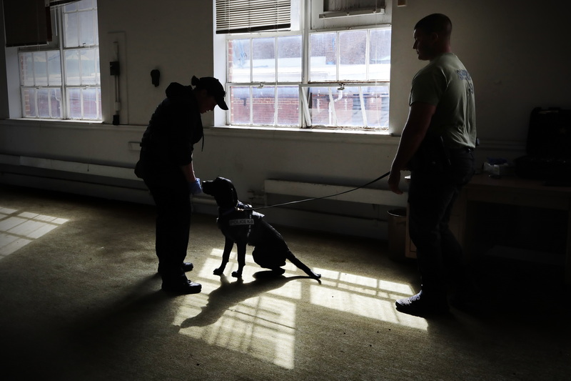 Sgt William Dillingham of the Bristol County House of Correction holds Blue on a leash as Fairhaven police officer, Jillian Jodoin, holds a jar containing 26 grams of heroin during the first day of training for Blue, who will become Fairhaven Police Department's first K-9 dog.  The training will last twelve weeks and is run by the Bristol County House of Correction K-9 Unit at the former Revere Copper plant in New Bedford.  Blue will become Fairhaven Police Department's first K-9 dog specializing in illegal drug detection. PHOTO PETER PEREIRA