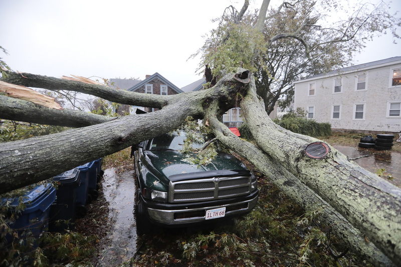 A large tree fell onto a pickup truck in Fairhaven, MA on October 27, 2021 as a nor'easter slams into the region.