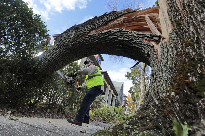 Steven Lopez and fellow members of New Bedford DPI cut down a toppled tree on Hawthorn Street in New Bedford which as knocked over due to the high winds of the nor'easter which swept across the region last week.  PHOTO PETER PEREIRA