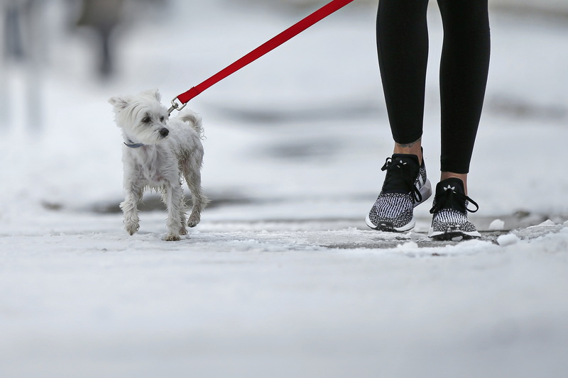 Heather Ferreira and her dog Bela go for a walk around Buttonwood Park in New Bedford, MA for the first time since a blizzard covered the region in snow last weekend.