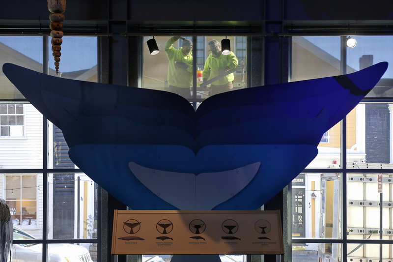 Peter Korzeniowski and Bob Leduc are seen removing the glazing for the glass panels at the Whaling Museum in New Bedford,  MA in front of scale cutouts of five different whales' tails. PHOTO PETER PEREIRA