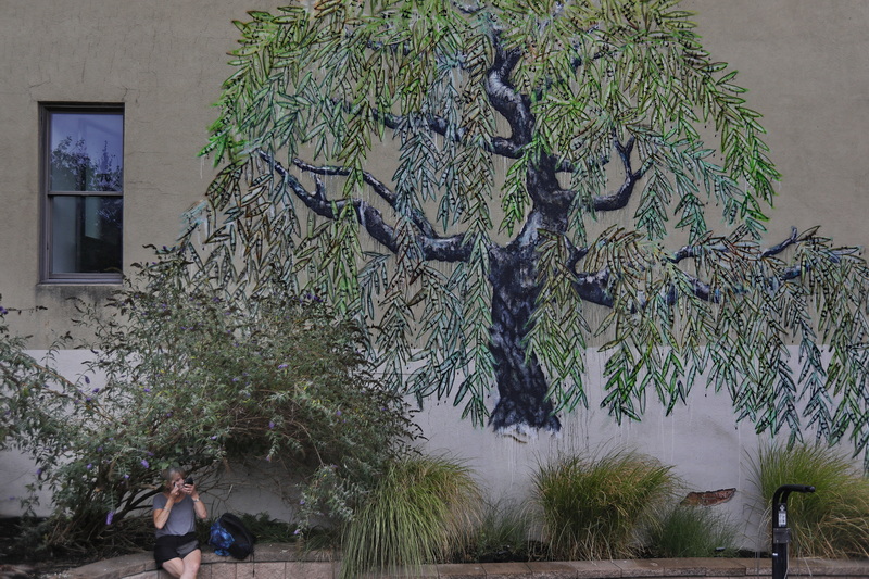 Karen Leonardi takes shelter from the light rain under a bush as she applies some makeup under a virtually painted tree at Wings Court in New Bedford, MA.  PHOTO PETER PEREIRA