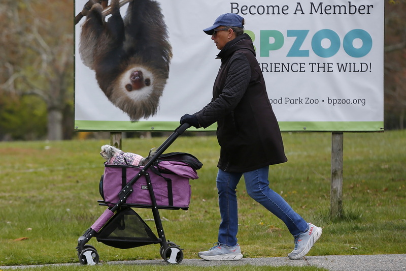 A two-toed sloth looks on curiously as a woman walks her dog in a cart past a Buttonwood Park Zoo poster in New Bedford, MA. PHOTO PETER PEREIRA