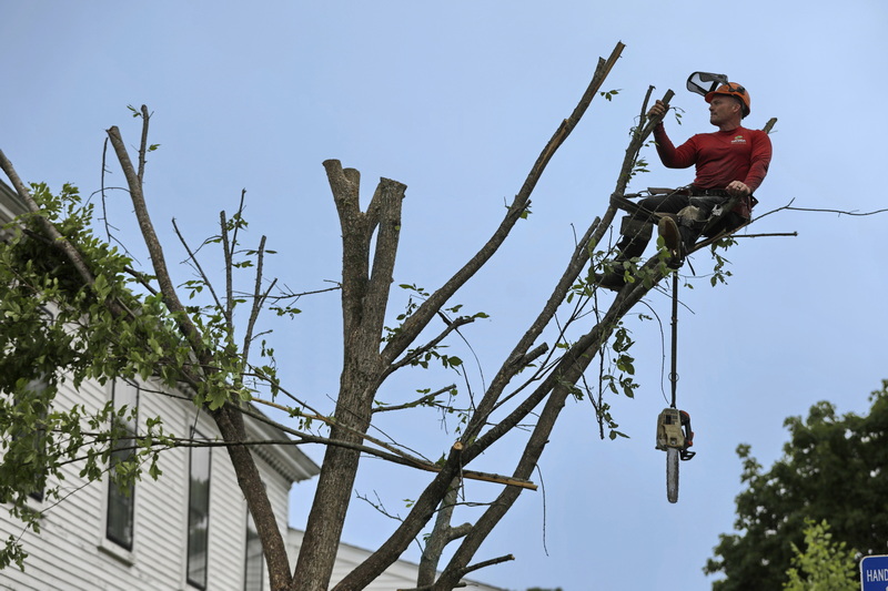 Aaron Lague of Shaun's Lawns takes a breather on a branch of the tree he is cutting in front of the Mattapoisett Museum in Mattapoisett, MA after it became damaged due to a recent storm. PHOTO PETER PEREIRA