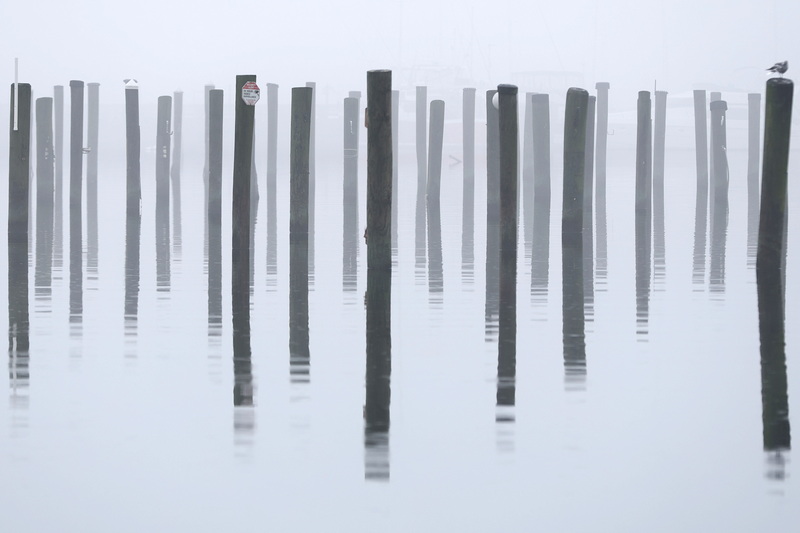 The empty piles, after docks have been removed for the season, at Seaport Resort and Marina in Fairhaven, MA seemingly levitate in the air due to the fog and perfectly calm water. PHOTO PETER PEREIRA