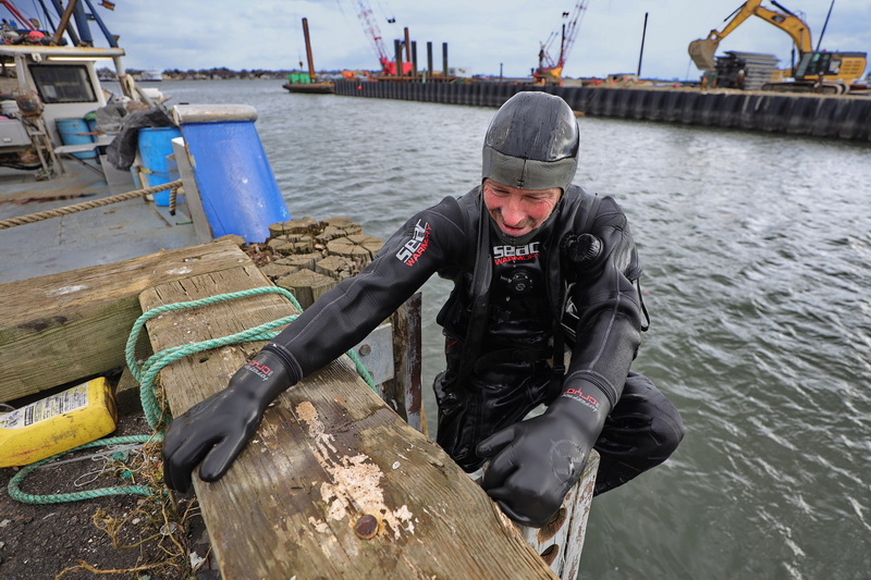 After freeing the propeller of a fishing boat moored at Homer's wharf from tangled rope, James Mercer surfaces from the chilly waters of New Bedford harbor. PHOTO PETER PEREIRA