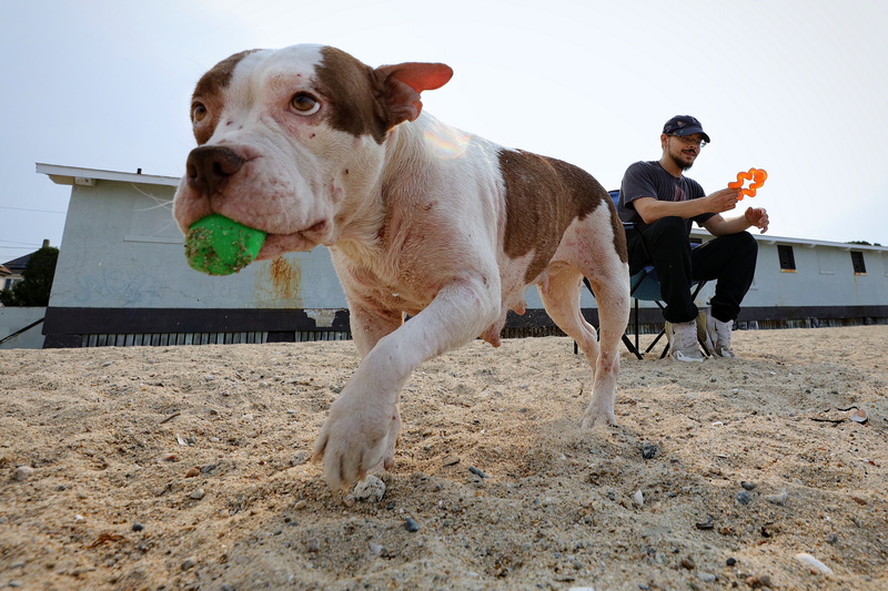 Corey Neves and his dog Cookie are having fun playing catch on a hot day at West Beach in New Bedford, MA, on July 15, 2026. PHOTO PETER PEREIRA
