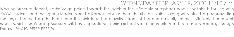 Whaling Museum docent, Kathy Veiga points towards the back of the inflatable humpback whale that she is touring with YWCA students and their group leader, Nanette Ramos.  Above them the ribs are visible along with blue bags representing the lungs, the red bag the heart, and the pink tube the digestive tract of the anatomically correct inflatable humpback whale which the Whaling Museum will have operational during school vacation week from ten to noon Monday through Friday.   PHOTO PETER PEREIRA