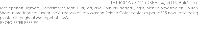 Mattapoisett Highway Department's Matt Duff, left, and Christian Nadeau, right, plant a new tree on Church Street in Mattapoisett under the guidance of tree warden Roland Cote, center as part of 15 new trees being planted throughout Mattapoisett, MA. 