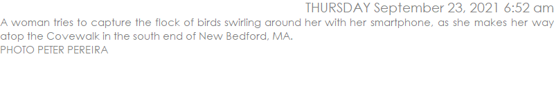 A woman tries to capture the flock of birds swirling around her with her smartphone, as she makes her way atop the Covewalk in the south end of New Bedford, MA.