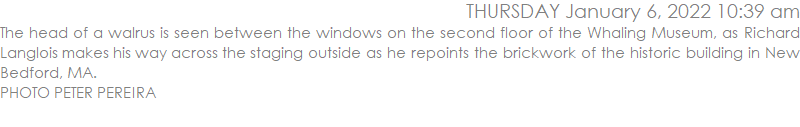 The head of a walrus is seen between the windows on the second floor of the Whaling Museum, as Richard Langlois makes his way across the staging outside as he repoints the brickwork of the historic building in New Bedford, MA.