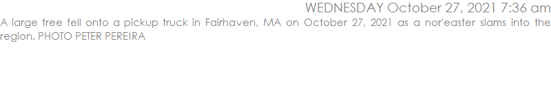 A large tree fell onto a pickup truck in Fairhaven, MA on October 27, 2021 as a nor'easter slams into the region.