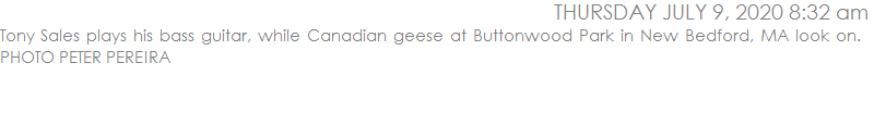 Tony Sales plays his bass guitar, while Canadian geese at Buttonwood Park in New Bedford, MA look on.   PHOTO PETER PEREIRA