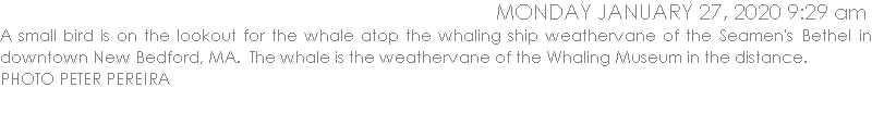 A small bird is on the lookout for the whale atop the whaling ship weathervane of the Seamen's Bethel in downtown New Bedford, MA.  The whale is the weathervane of the Whaling Museum in the distance. PHOTO PETER PEREIRA