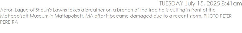 Aaron Lague of Shaun's Lawns takes a breather on a branch of the tree he is cutting in front of the Mattapoisett Museum in Mattapoisett, MA after it became damaged due to a recent storm. PHOTO PETER PEREIRA