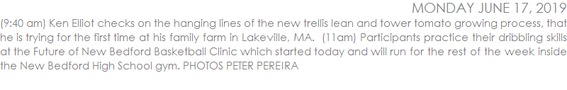 (9:40 am) Ken Elliot checks on the hanging lines of the new trellis lean and tower tomato growing process, that he is trying for the first time at his family farm in Lakeville, MA.  (11am) Participants practice their dribbling skills at the Future of New Bedford Basketball Clinic which started today and will run for the rest of the week inside the New Bedford High School gym. PHOTOS PETER PEREIRA