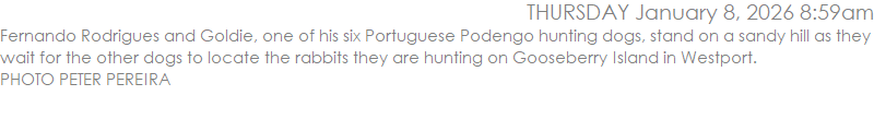 Fernando Rodrigues and Goldie, one of his six Portuguese Podengo hunting dogs, stand on a sandy hill as they wait for the other dogs to locate the rabbits they are hunting on Gooseberry Island in Westport. PHOTO PETER PEREIRA