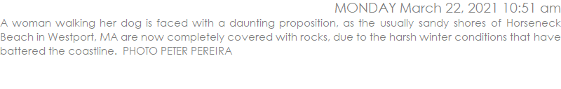 A woman walking her dog is faced with a daunting proposition, as the usually sandy shores of Horseneck Beach in Westport, MA are now completely covered with rocks, due to the harsh winter conditions that have battered the coastline.  PHOTO PETER PEREIRA