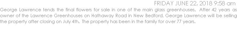 George Lawrence tends the final flowers for sale in one of the main glass greenhouses.  After 42 years as owner of the Lawrence Greenhouses on Hathaway Road in New Bedford, George Lawrence will be selling the property after closing on July 4th.  The property has been in the family for over 77 years. 